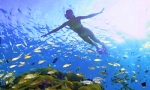 Paya Bay Beach Diving