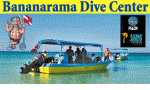 Bananarama Dive